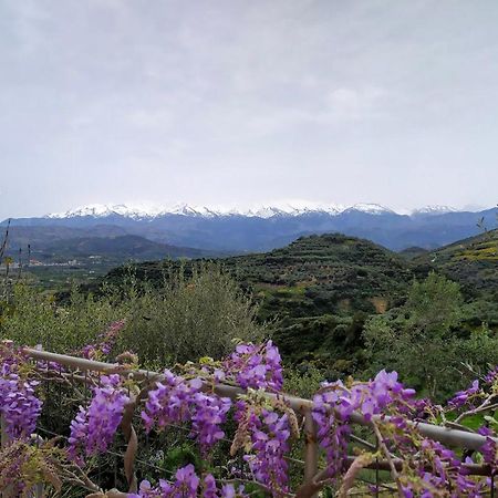 Villa Orgoni Πατελλάρι Εξωτερικό φωτογραφία