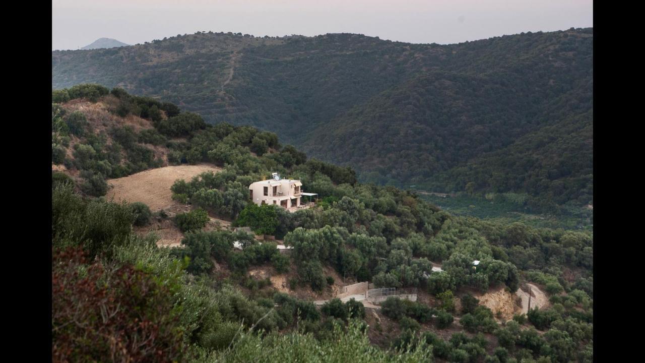 Villa Orgoni Πατελλάρι Εξωτερικό φωτογραφία
