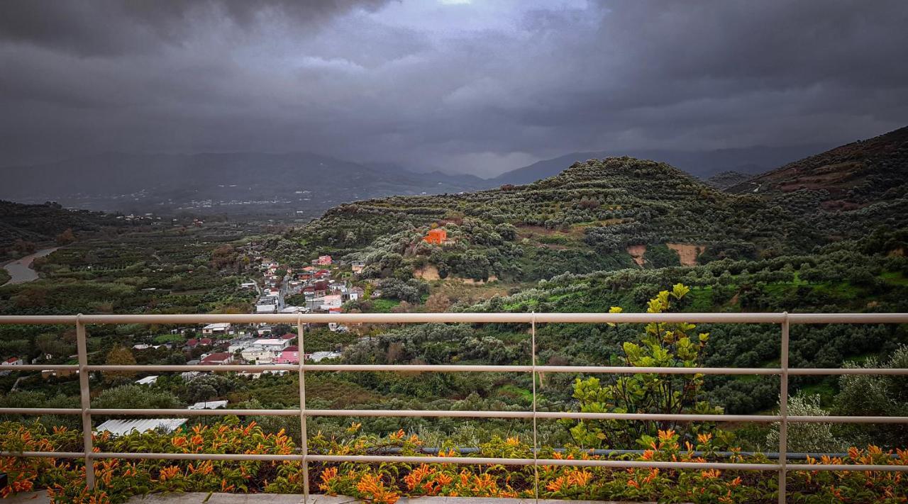 Villa Orgoni Πατελλάρι Εξωτερικό φωτογραφία