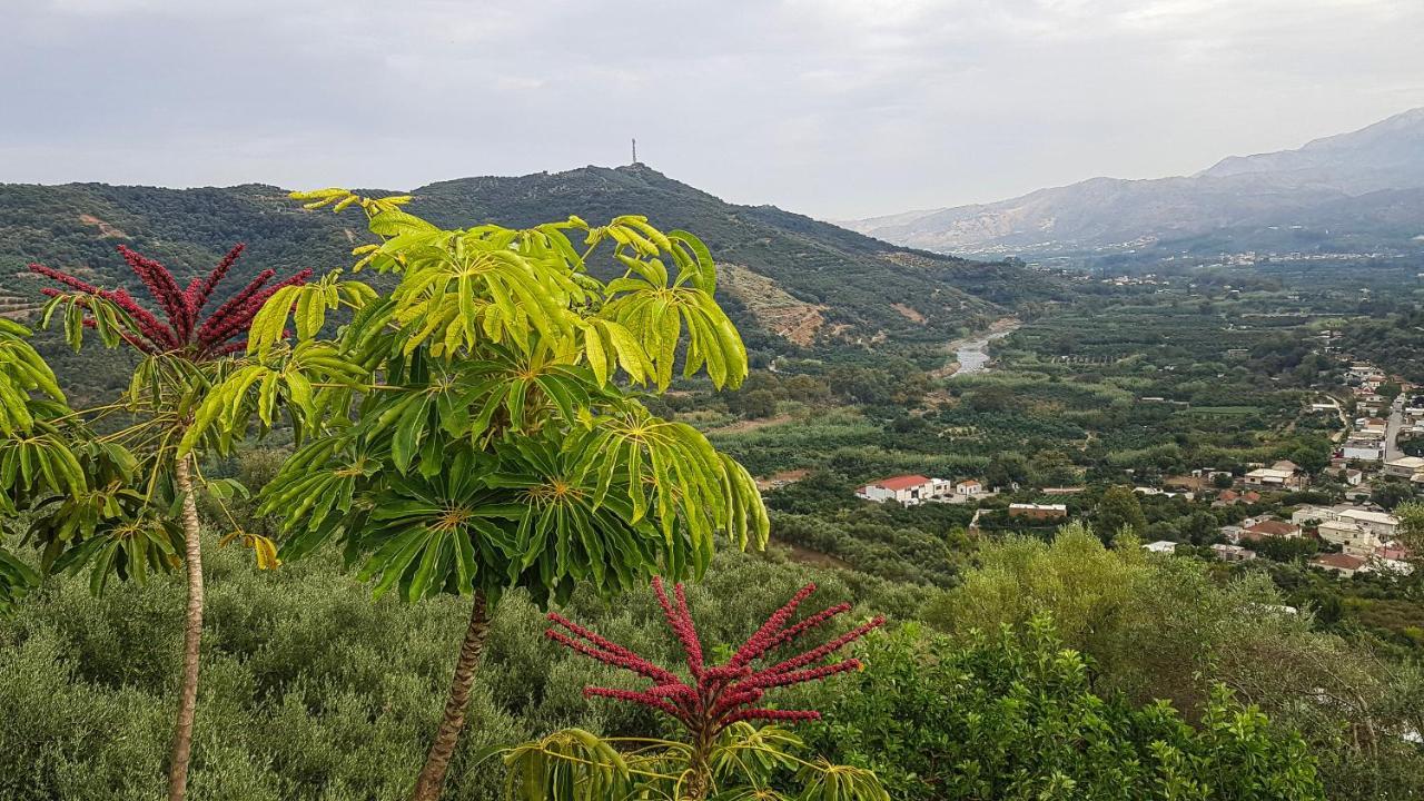 Villa Orgoni Πατελλάρι Εξωτερικό φωτογραφία