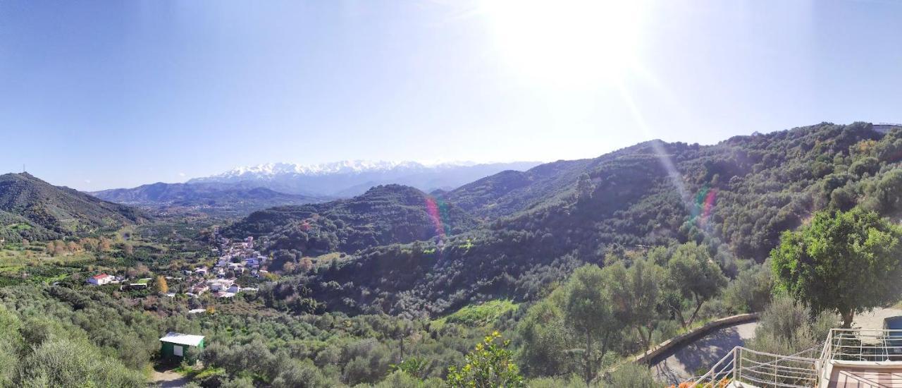 Villa Orgoni Πατελλάρι Εξωτερικό φωτογραφία