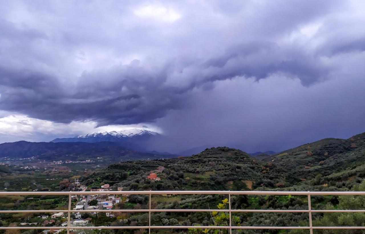 Villa Orgoni Πατελλάρι Εξωτερικό φωτογραφία