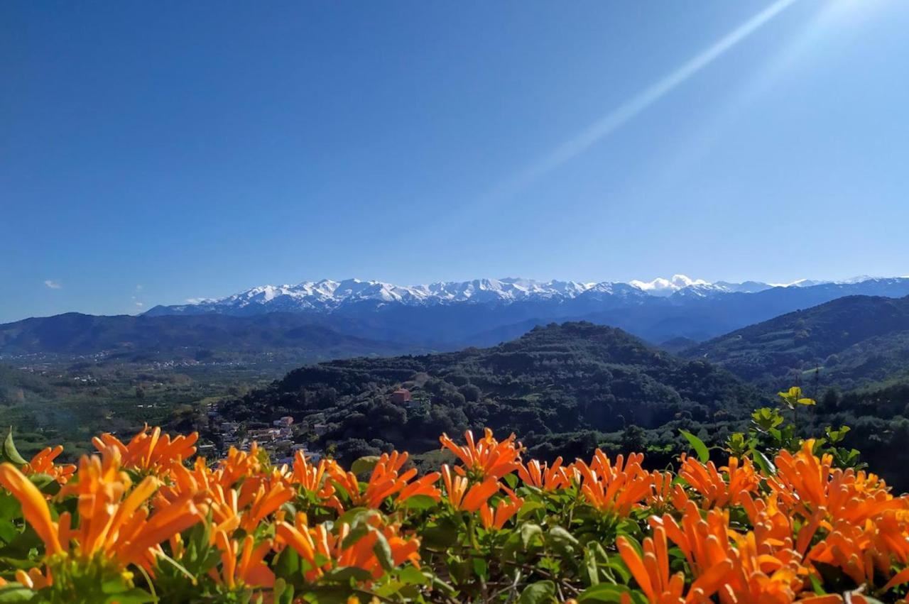 Villa Orgoni Πατελλάρι Εξωτερικό φωτογραφία
