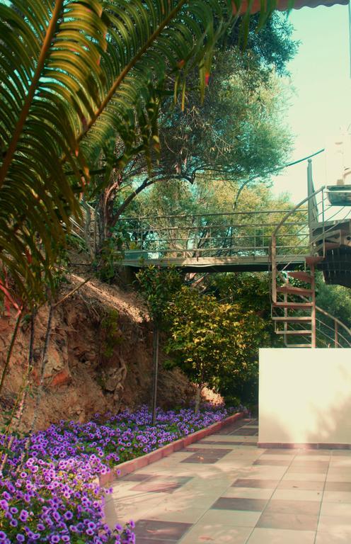 Villa Orgoni Πατελλάρι Εξωτερικό φωτογραφία