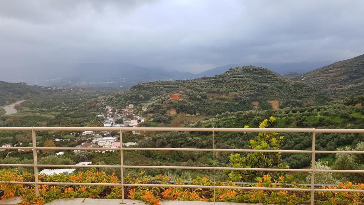 Villa Orgoni Πατελλάρι Εξωτερικό φωτογραφία